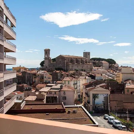 Mandariniers * Cannes